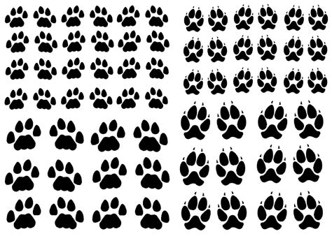 In this video i'm going to show you how to tell the difference between cat and dog paw prints. cat paw vs dog paw | Paw Prints | Pinterest | Cat paws ...