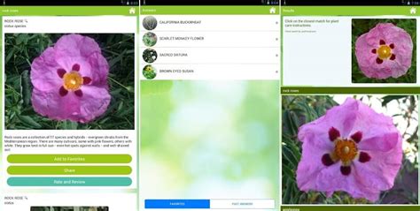 Some of them are really going to help you to identify plants instantly, and even provide practical care guides. Best Plant Identification Apps for Android Devices 2020
