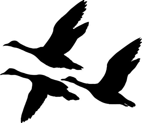 Goose Goose Duck Png Slowpikol
