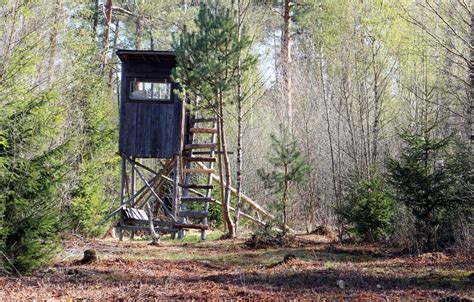 Free Images Tree Forest Wood Track Trail Transport Perch