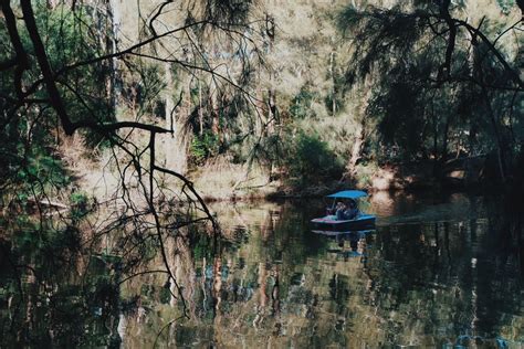 พายเรือรับลมที่ Lane Cove National Park Au