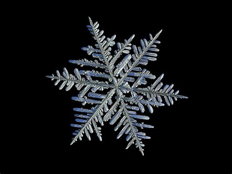 Real Snowflake 2016 01 212bdubhe Photograph By Alexey Kljatov Pixels