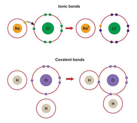 Covalent Bond Is Between Covalent Bonds Vs Ionic Bonds What Is The