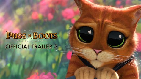 Puss In Boots The Last Wish Showtimes Movie Tickets And Trailers