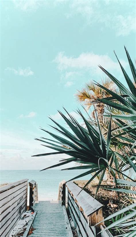 𝚙𝚒𝚗𝚝𝚎𝚛𝚎𝚜𝚝 𝚎𝚕𝚎𝚗𝚊𝚟𝚒𝚕𝚊𝚊 ☼ Beach Aesthetic Beach Landscape Beach