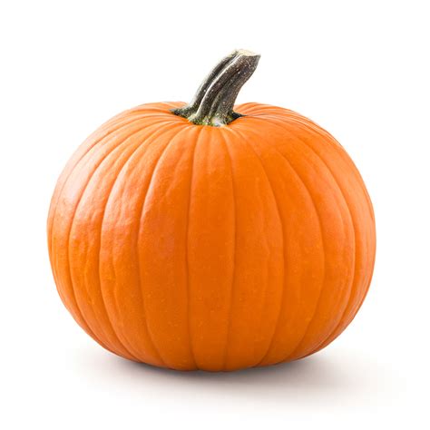 Whats In Season Pumpkins Catholic Health Today