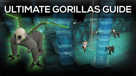 Osrs Ultimate Demonic Gorillas Guide Youtube