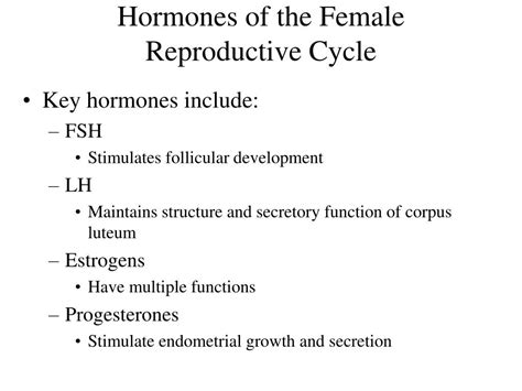 Ppt Female Reproductive System Powerpoint Presentation Free Download Id3206306