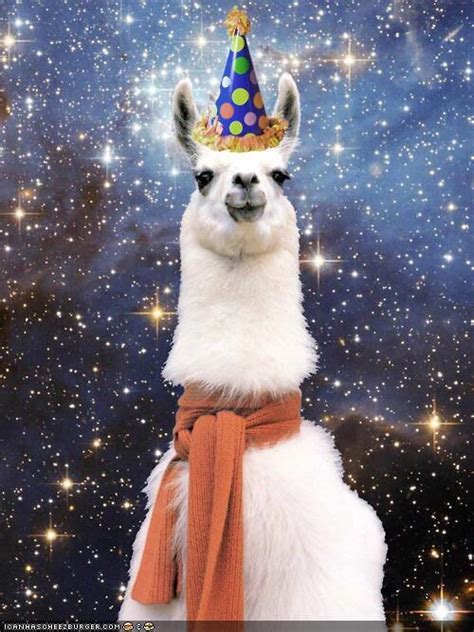 Llama Wearing Birthday Hat Happy Birthday Llama Happy Birthday Girls