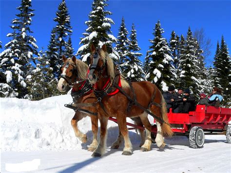 Sleigh Ride Free Stock Photo Public Domain Pictures