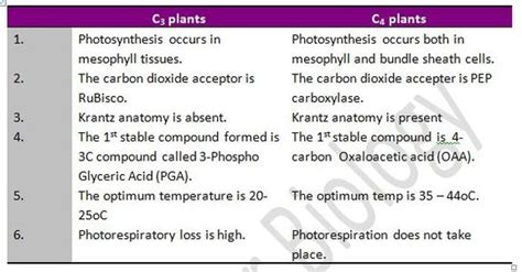 What Is The Difference Between C3 And C4 Plants Quora