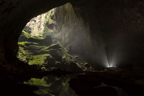 The Lost Forest World Of The Worlds Largest Cave Mysterious Universe