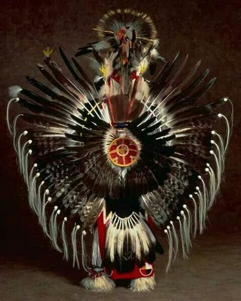 feathers native american regalia native american images native american artwork native
