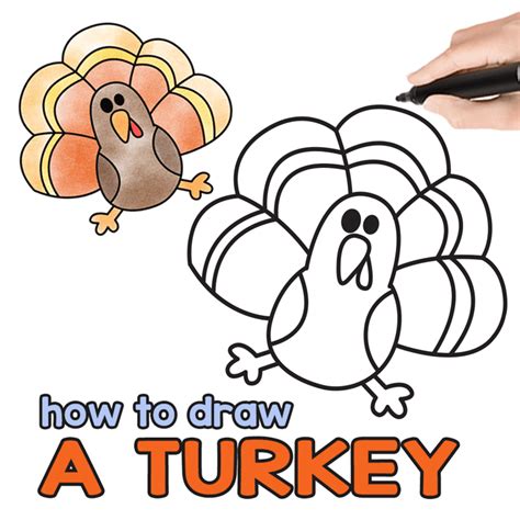 How To Draw A Turkey Step By Step For Kids