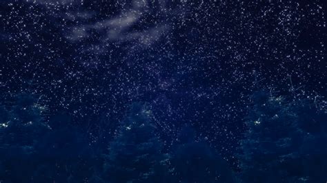 Starry Night Sky Over The Dark Forest Stock Video Footage