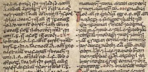 Lost Irish Words Rediscovered Including The Word For Oozes Pus