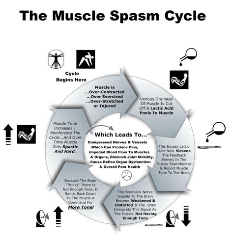 Maybe you would like to learn more about one of these? Muscle Spasm Cycle - NeuroSoma Therapy of Fresno