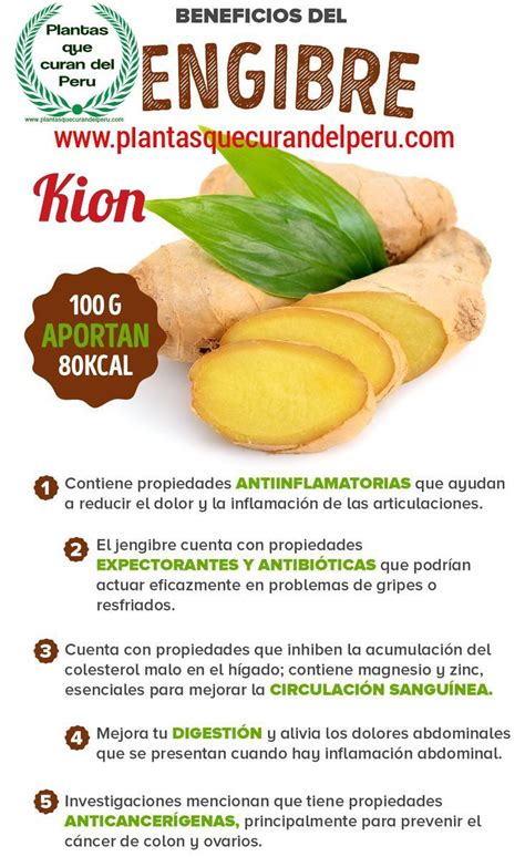Beneficios Del Kion Jengibre In Ginger Benefits Fruit Health