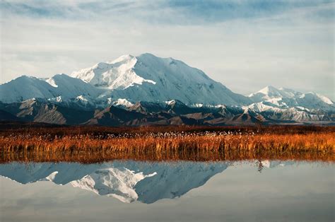 Landscape And Reflection Of Denali In Denali National Park Alaska