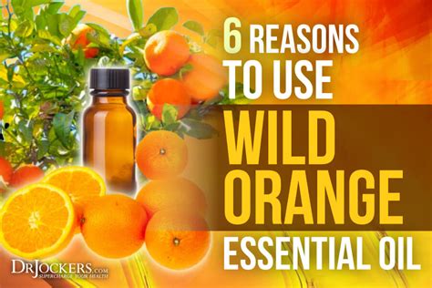 6 Reasons To Use Wild Orange Essential Oil