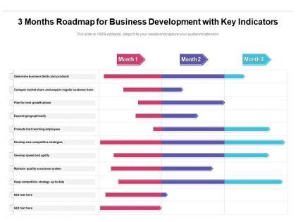 Business Development Roadmap Slide Team