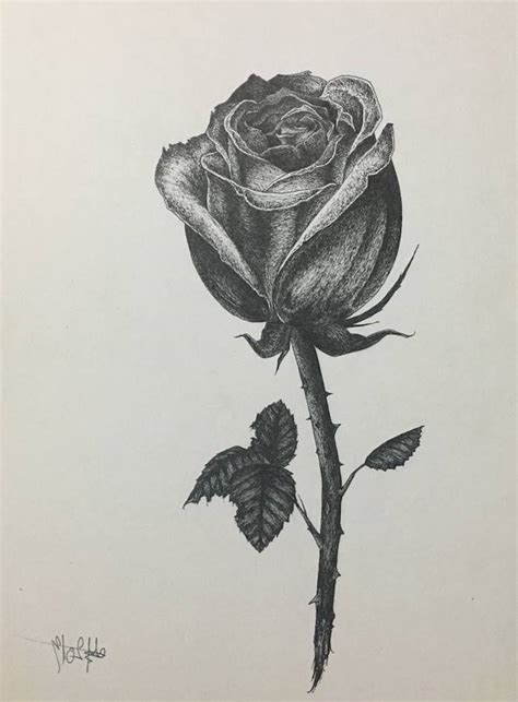 Dibujos De Rosas A Lapiz Faciles