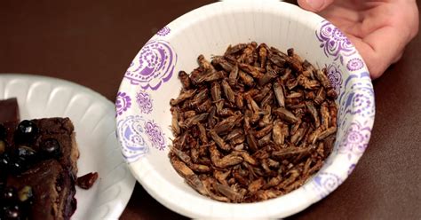 Butter Fly Edible Insects Hit Uk Supermarket Shelves New Straits Times
