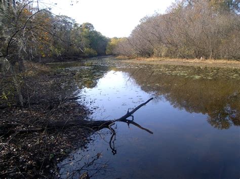 6 Places You Have To Hunt In Georgia Georgia Wildlife Blog