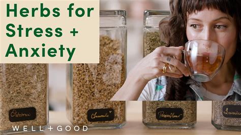 Common And Accessible Herbs For Stress And Anxiety Plant Based Well