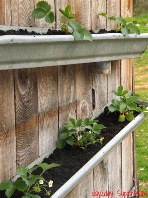 26 Best Diy Vertical Rain Gutter Garden Ideas For Small Spaces