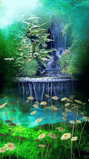 Animated Photo Nature  Beautiful  Waterfall