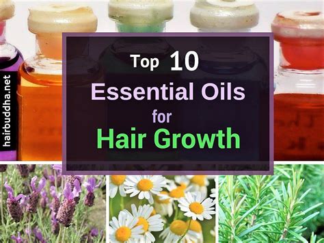 9 Best Essential Oils For Hair Growth And Healthy Scalp Essential