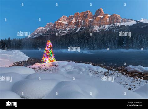 Christmas Tree Castle Mountain And The Bow River In Winter Banff