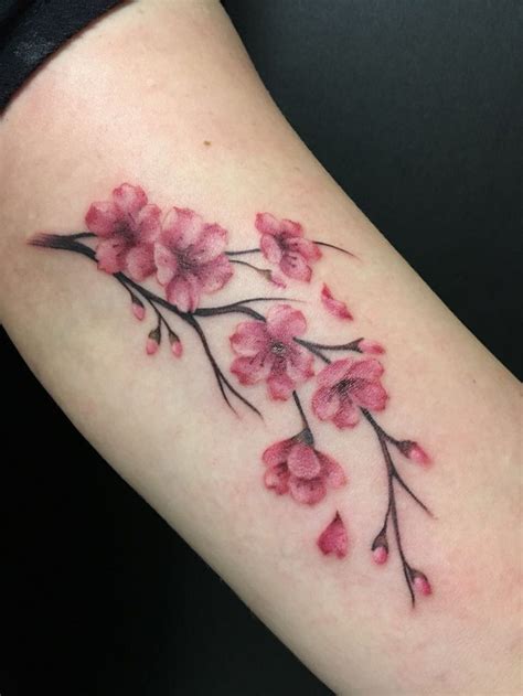 Big cherry blossom tattoos with unique and complicated designs will cost as high as $300. Sakura | Tattoo possibilities | Tattoo ideen, Kirschblüten ...