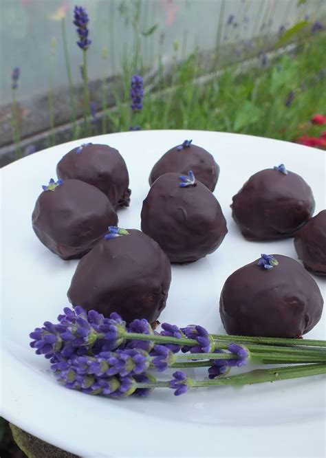 Browse through our exquisite flowers and cakes combo to send your dear ones as a token of love.</p> Buy Fresh Lavender Flowers | Chocolate lavender, Lavender ...