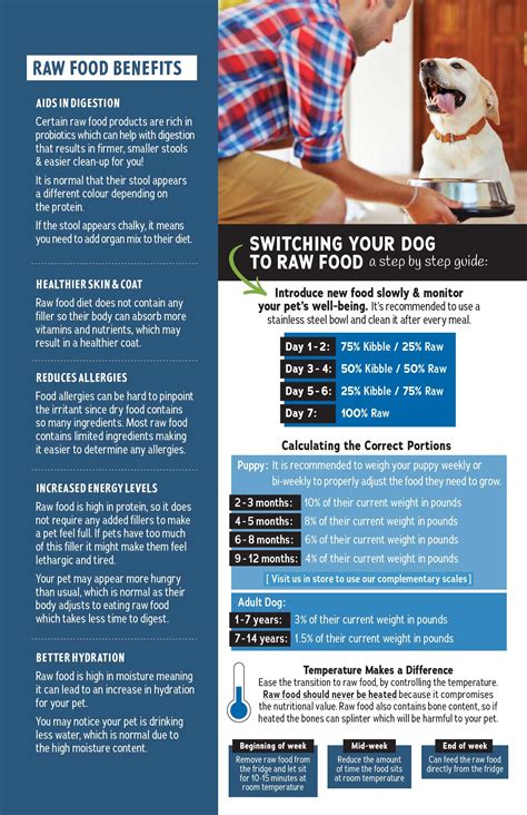 Switching Your Dog To Raw Food - Ren's Pets