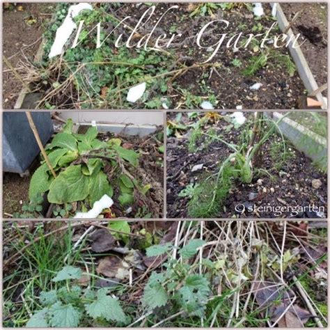 We did not find results for: (M)ein Wilder Garten im Januar - Bergblumengarten