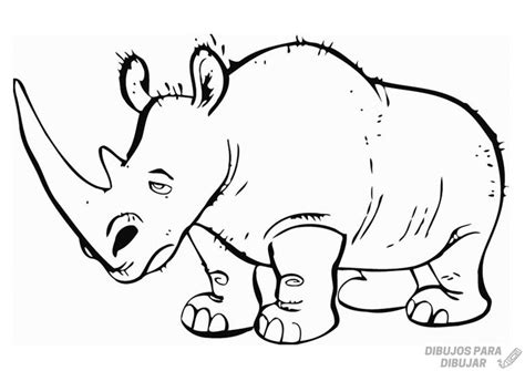 磊【2150】los Mejores Dibujos De Rinocerontes Sencillos ⚡️