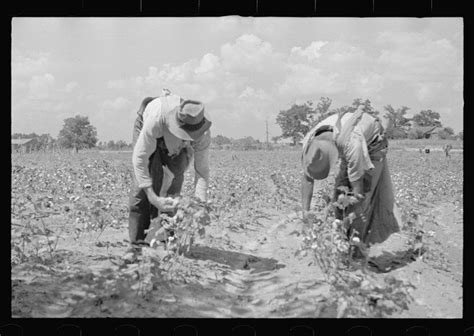 20 Photos Taken In Mississippi During The Great Depression