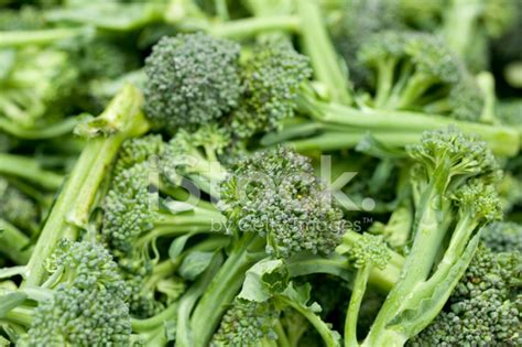 Broccoli Stock Photo Royalty Free Freeimages