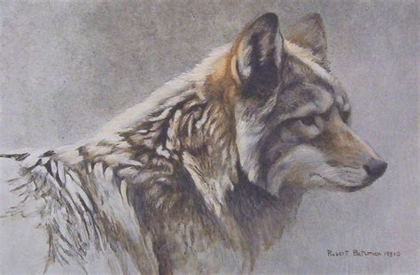 Art Country Canada Robert Bateman Worlds Most Complete Limited