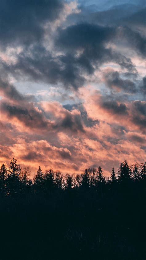 Download Wallpaper 1350x2400 Clouds Trees Sky Sunset Iphone 876s