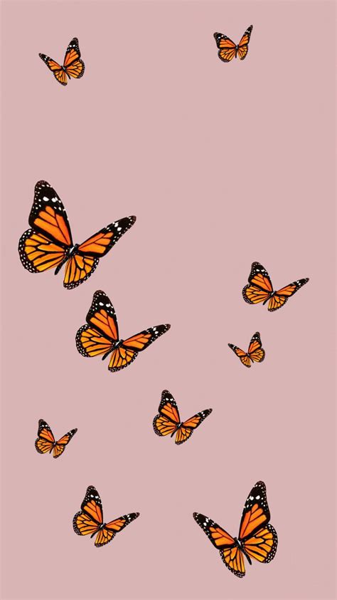 Grunge Pink Aesthetic Wallpaper Butterfly Deepzwalkalone