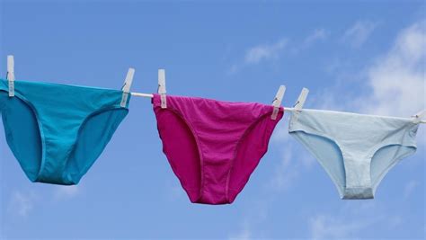 Panty Thief Sorry For Nicking Knickers In Sordid Spree Herald Sun