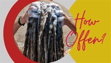 How Often Should You Wash Dreads 2024