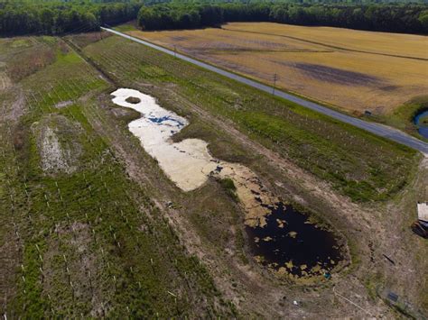Collaborations Create Innovative Forest Wetland Project Near Frankford