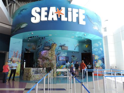 Orlando Sea Life Aquarium Roteiro Em Orlando