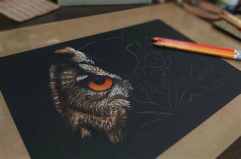 Drawing On Black Paper With Pastel Pencils Coloured Pencils And Other
