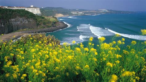 7 Top Attractions In Jeju Island South Korea You Must Visit Airpaz Blog