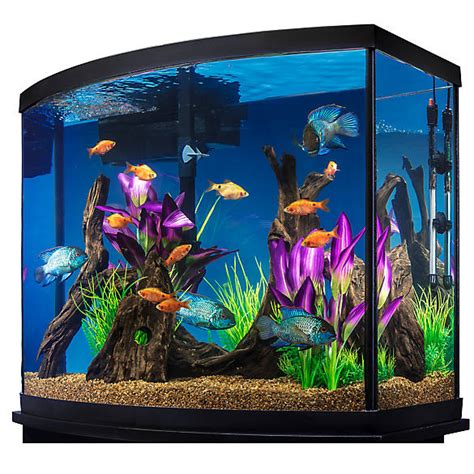 Marineland 38 Gallon Aquarium Starter Kit Fish Starter Kits Petsmart